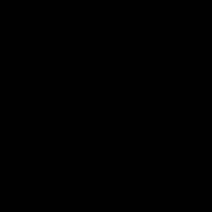 Meet your Posher, Zoey